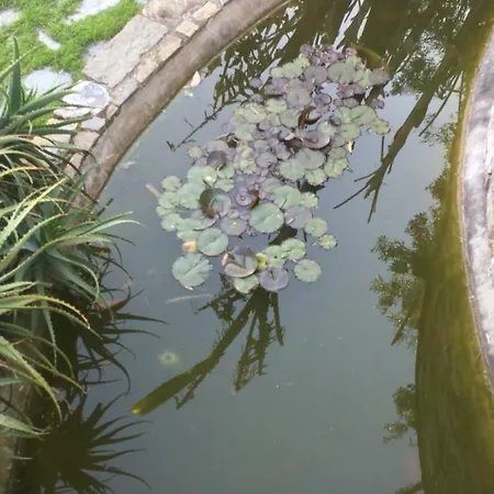 Creuza De Ma 산토스테파노알마레