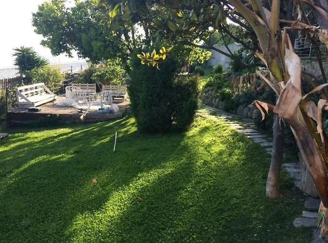 Creuza De Ma Farma *