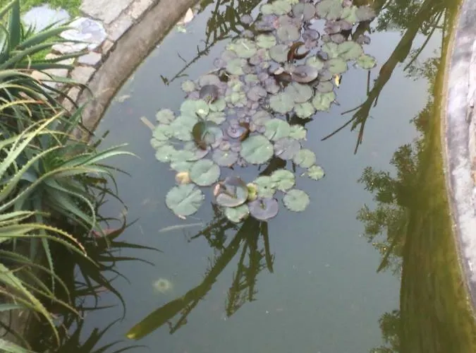 Creuza De Ma Santo Stefano al Mare