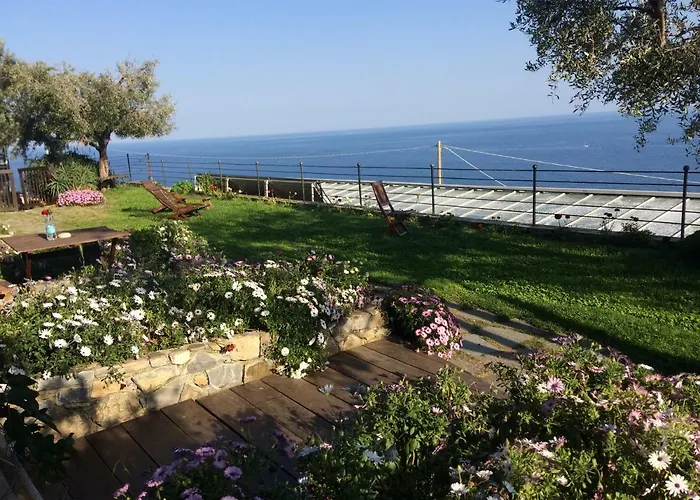 Creuza De Ma Farma *